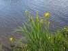 Img_258