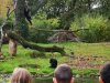 IMG_20221107_105554