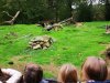 IMG_20221108_094938