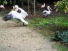 IMG_20221108_102818
