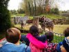 IMG_20221108_112144