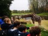 IMG_20221108_112207