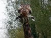 IMG_20221108_112330