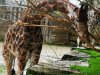 IMG_20221108_112900