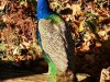 IMG_20221110_102611