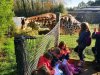 IMG_20221110_111146