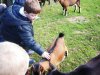 IMG_20221110_142518