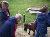 IMG_20221110_142534