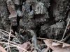 IMG_20221108_161155