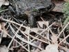 IMG_20221108_161341