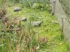 IMG_20221110_151818
