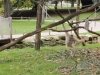 IMG_20221107_144206