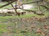 IMG_20221107_144209
