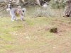 IMG_20221107_144331