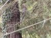IMG_20221107_144507