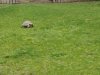IMG_20221107_144820