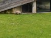IMG_20221107_144837