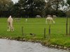 IMG_20221107_145601