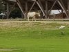 IMG_20221107_145617