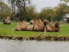 IMG_20221107_150050