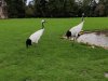 IMG_20221107_151355