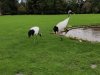 IMG_20221107_151359