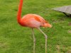 IMG_20221107_151454