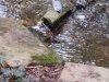 IMG_20221107_153035