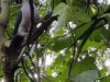 IMG_20221107_153159
