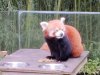 IMG_20221107_153736