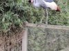 IMG_20221107_154135