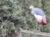 IMG_20221107_154210