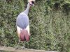 IMG_20221107_154239
