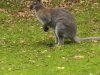 IMG_20221107_154404