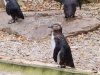 IMG_20221107_155034