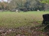IMG_20221107_101439