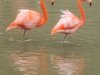 IMG_20221107_102916