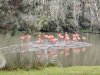 IMG_20221107_103033