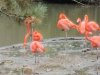 IMG_20221107_103040