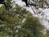 IMG_20221107_104246