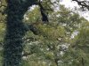 IMG_20221107_104304