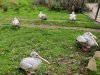 IMG_20221107_104813