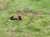 IMG_20221107_105535