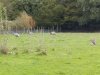IMG_20221107_111102