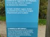 IMG_20221107_111154