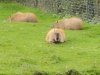 IMG_20221107_111803