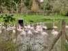IMG_20221107_112242
