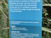 IMG_20221107_112745