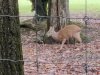 IMG_20221107_113159