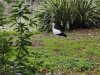 IMG_20221107_114528